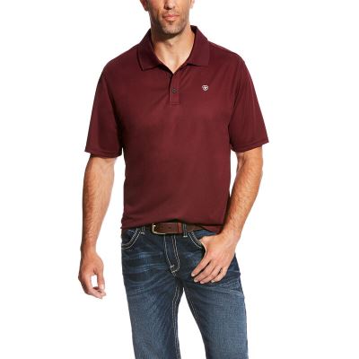 Ariat TEK Bordo Polo Erkek (15060-131)